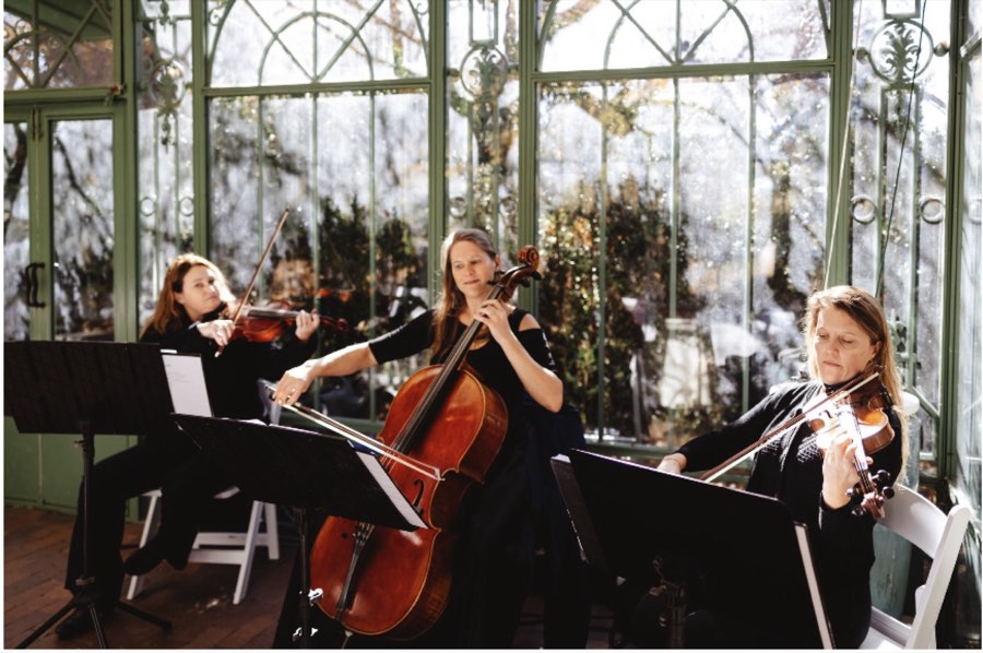 Flute and strings ensemble performing
